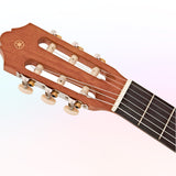 Guitarra Clasica Yamaha C40 Mate