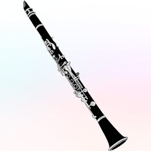 Clarinete Steiner Negro con Estuche