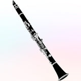 Clarinete Steiner Negro con Estuche