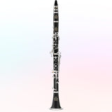 Clarinete Amati Negro con Estuche